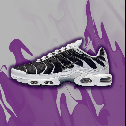 Nike air max TN 'Killer Whale'
