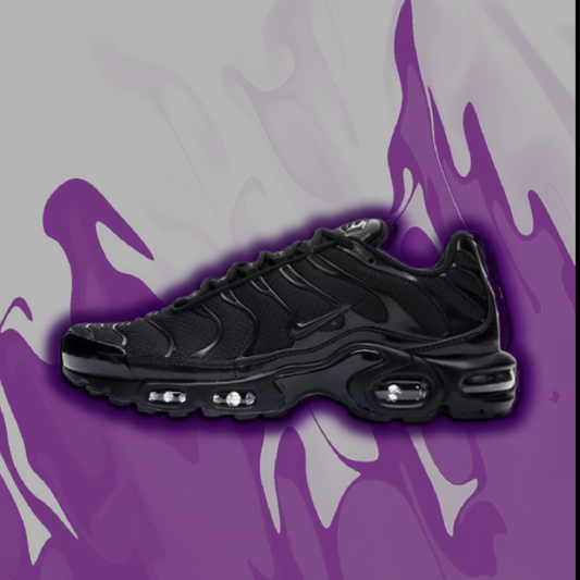Nike air max TN (black)