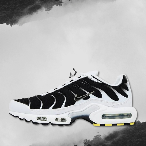 Nike air max TN 'Killer Whale'