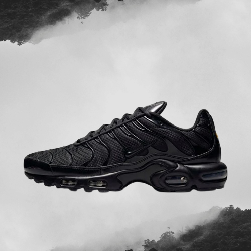 Nike air max TN (black)